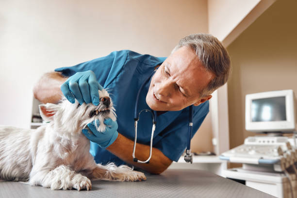Best Walk-In Emergency Dentist in Shattuck, OK
